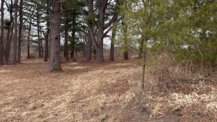 Land for sale in Lee County, Illinois