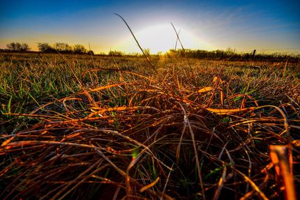Farm and Ranch for sale in Bourbon County, Kansas