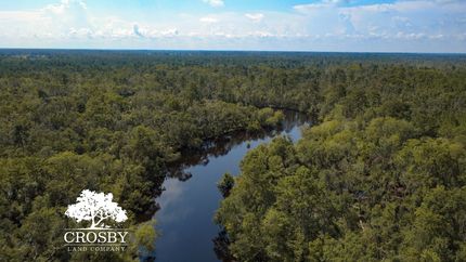 Timberland Property for sale in Lanier County, Georgia