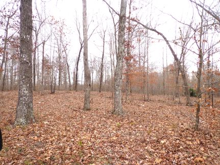 Timberland Property for sale in Humphreys County, Tennessee