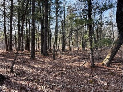 Timberland Property for sale in Monroe County, Wisconsin