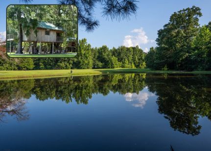 Timberland Property for sale in Lowndes County, Alabama