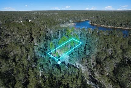 Timberland Property in Putnam County, Florida