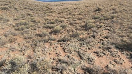 Farm and Ranch for sale in Costilla County, Colorado