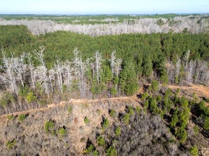 Timberland Property for sale in Barbour County, Alabama
