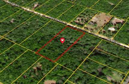 Timberland Property for sale in Dixie County, Florida