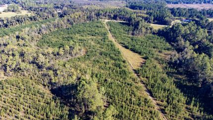 Undeveloped Land for sale in Holmes County, Florida