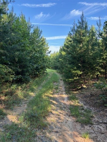 Land for sale in Spotsylvania County, Virginia