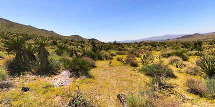 Farm and Ranch in Mohave County, Arizona