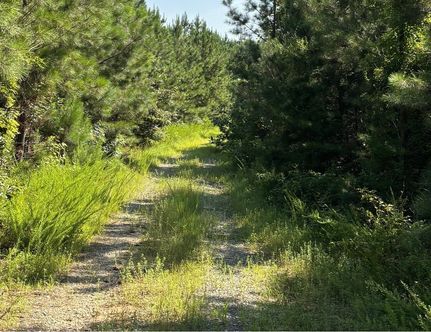 Land for sale in Caroline County, Virginia