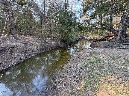 Undeveloped Land for sale in Freestone County, Texas