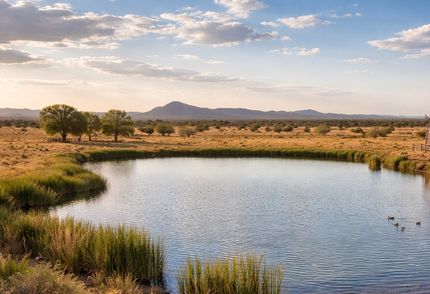 Farm and Ranch for sale in Socorro County, New Mexico