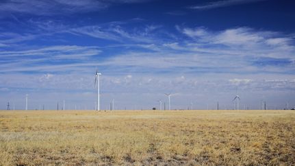 Farm and Ranch for sale in Hale County, Texas
