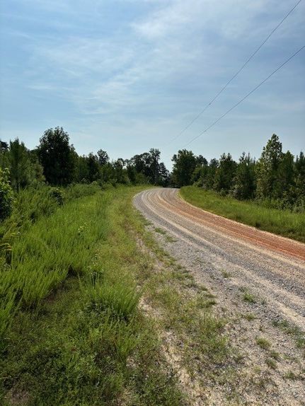 Timberland Property for sale in Mecklenburg County, Virginia