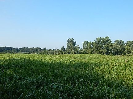 Land for sale in Hillsdale County, Michigan