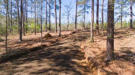 Undeveloped Land for sale in Panola County, Texas