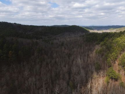 Farm and Ranch for sale in Polk County, Arkansas