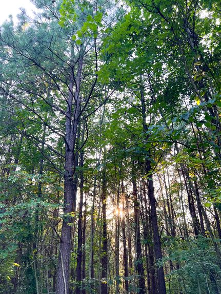 Recreational Property for sale in Hocking County, Ohio