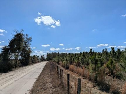 Farm and Ranch for sale in Lafayette County, Florida