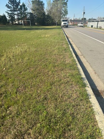 Land for sale in Evans County, Georgia