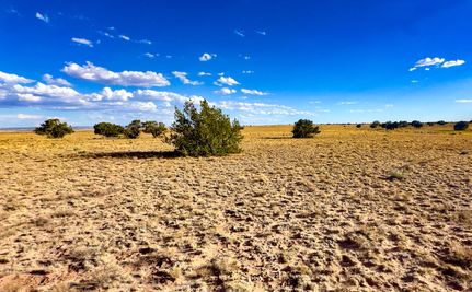 Farm and Ranch for sale in Apache County, Arizona