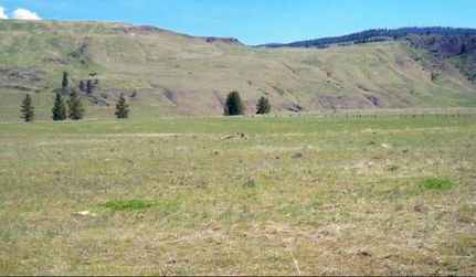 Timberland Property for sale in Okanogan County, Washington