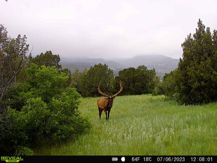 Farm and Ranch for sale in Pueblo County, Colorado
