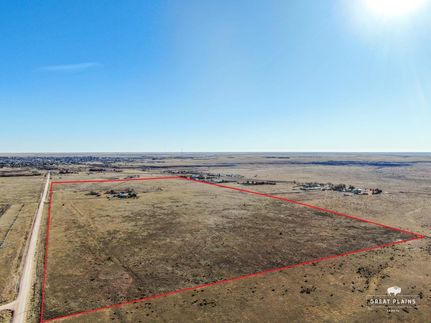 Timberland Property in Union County, New Mexico