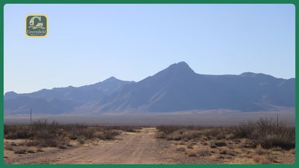 Timberland Property for sale in Luna County, New Mexico