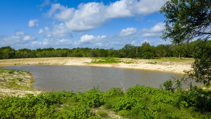 Undeveloped Land for sale in Coryell County, Texas