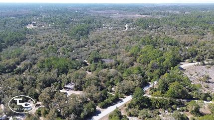 Land for sale in Levy County, Florida