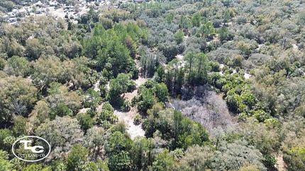 Land for sale in Levy County, Florida