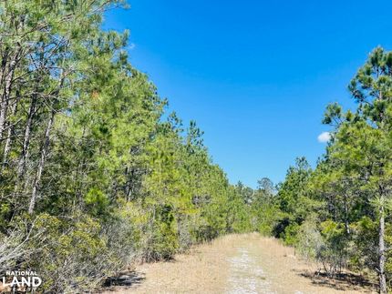 Hunting Property in Brunswick County, North Carolina