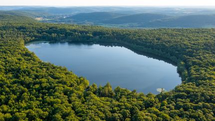 Timberland Property for sale in Otsego County, New York