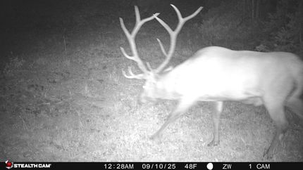 Undeveloped Land for sale in Beaver County, Utah