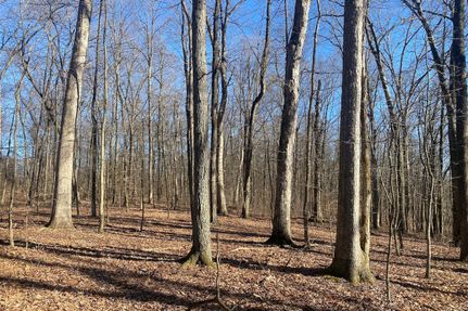 Farm and Ranch for sale in Knox County, Ohio