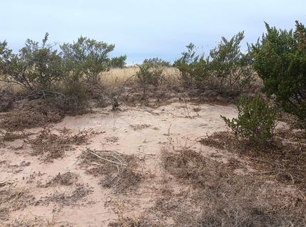 Undeveloped Land in Culberson County, Texas
