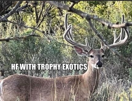 Commercial Property in Brown County, Texas