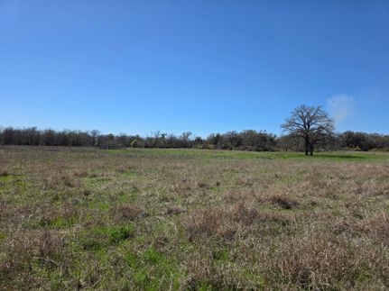 Land for sale in Comanche County, Texas