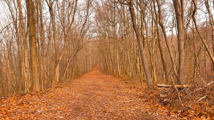 Recreational Property for sale in Vinton County, Ohio