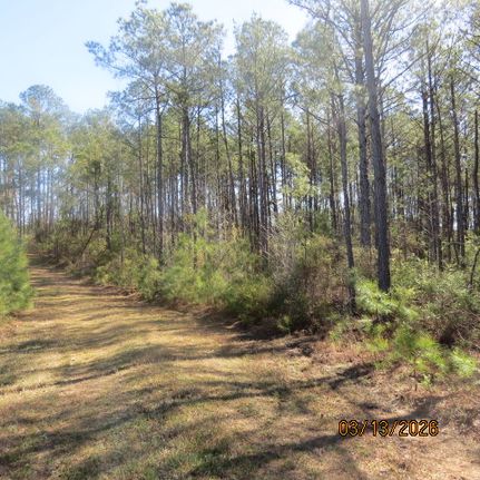 Timberland Property for sale in Chilton County, Alabama