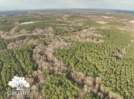 Undeveloped Land for sale in Anson County, North Carolina