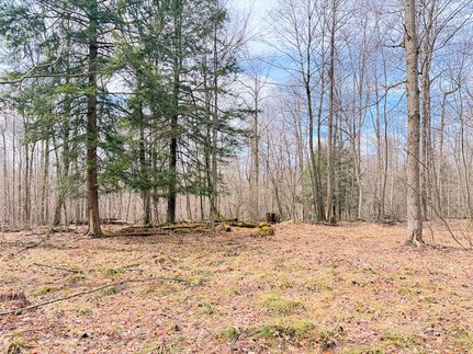 Land for sale in Warren County, Pennsylvania
