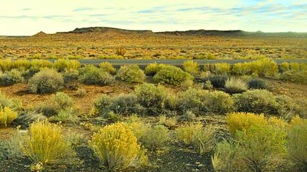 Recreational Property for sale in Navajo County, Arizona