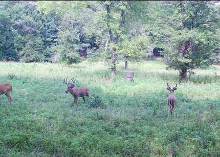 Timberland Property for sale in Carter County, Missouri