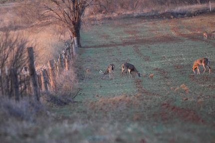 Farm and Ranch for sale in Hall County, Texas