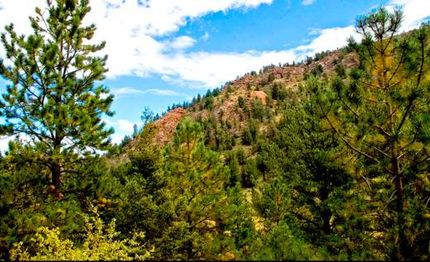 Farm and Ranch for sale in Teller County, Colorado