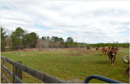 Farm and Ranch for sale in Orange County, North Carolina