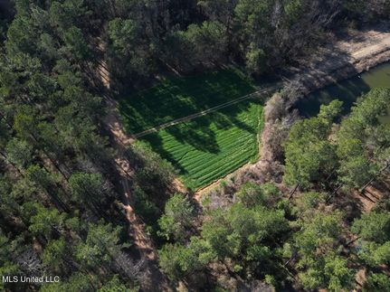 Timberland Property for sale in Copiah County, Mississippi