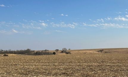 Undeveloped Land for sale in Frontier County, Nebraska